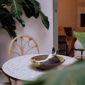 Danka Marrakesh